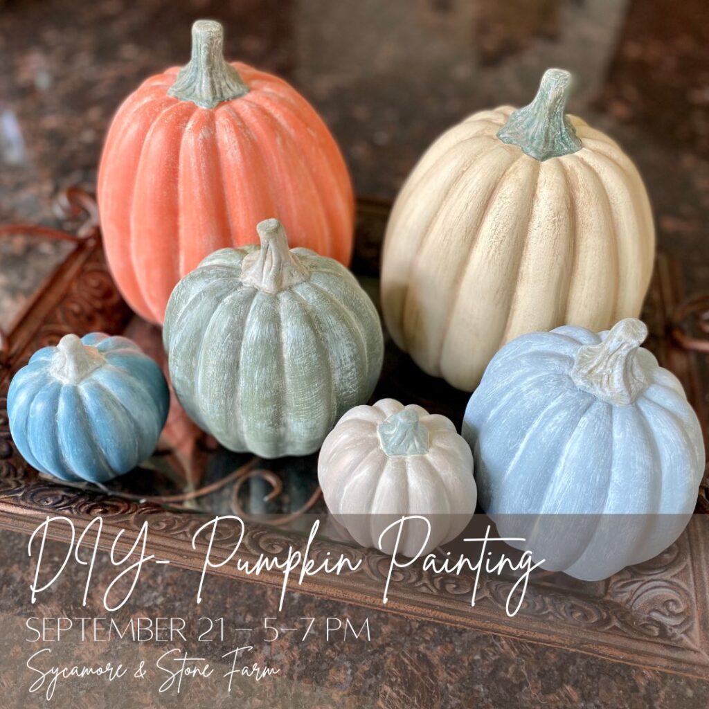 pumpkin-painting-workshop-showit-blog