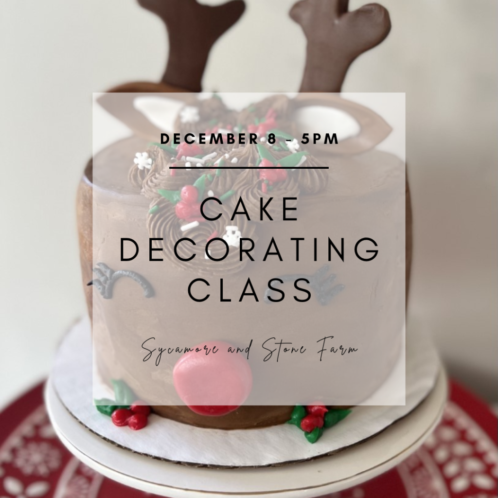 Cake Decorating Class Showit Blog   Cake Decorating Class 1024x1024 